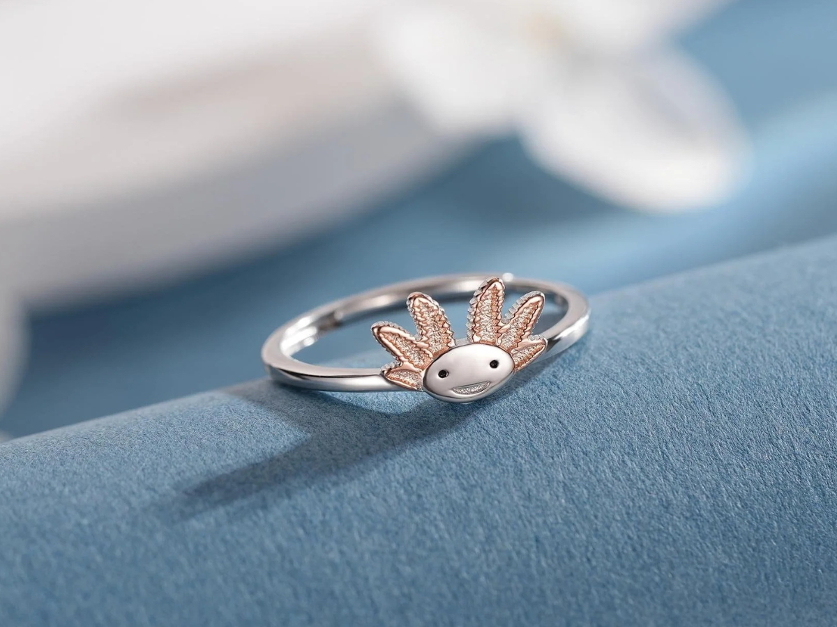 Motif Rings