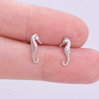 Little Seahorse Fish Stud Earrings in Sterling Silver, Cute Fun Quirky Animal Jewellery, Gift for Her, Animal Lover, Nature Inspired