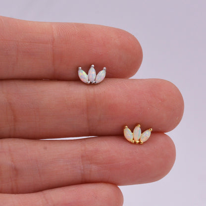 Sterling Silver White Opal Marquise Cluster Screw Back Earrings, Marquise Fan Stud, Opal Crown Stud, Gold or Silver, Minimalist