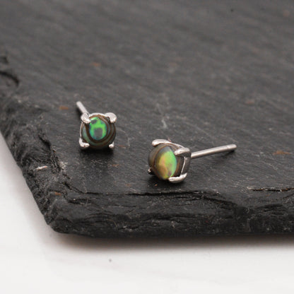 Sterling Silver Sea Abalone Paul Shell Stud Earrings, 4mm, Genuine Shell Gemstone Stud, 4 Prongs, Minimalist Style