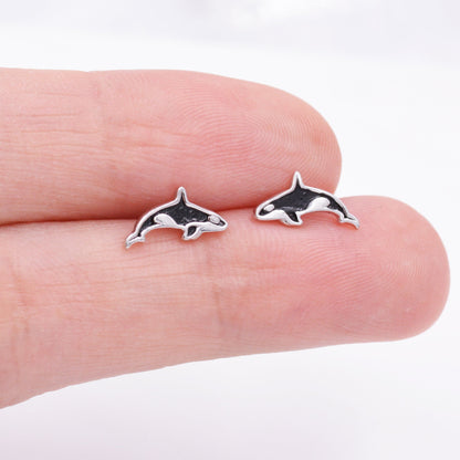 Killer Whale Stud Earrings in Sterling Silver, Fish Earrings, Ocean Theme Stud, Cute Dainty Minimal Jewellery