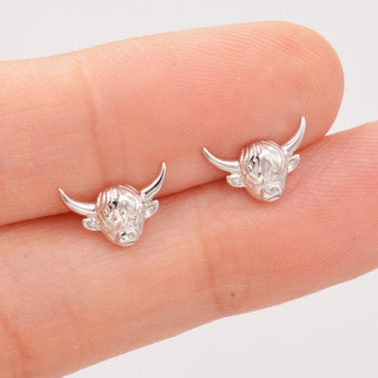 Highland Cow Stud Earrings in Sterling Silver, Cow Stud, Bull Earrings, Petite Earrings, Small Cow Stud, Scotland, Scottish