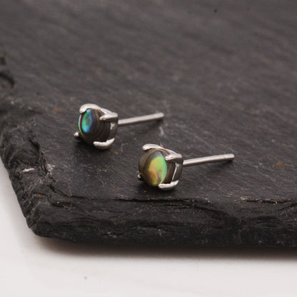 Sterling Silver Sea Abalone Paul Shell Stud Earrings, 4mm, Genuine Shell Gemstone Stud, 4 Prongs, Minimalist Style