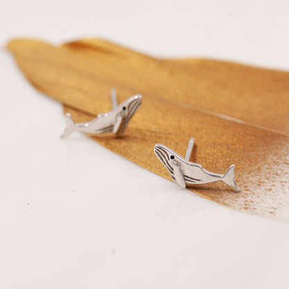 Humpback Whale Stud Earrings in Sterling Silver - Petite Fish Stud -  Sea, Ocean, Cute,  Fun, Whimsical