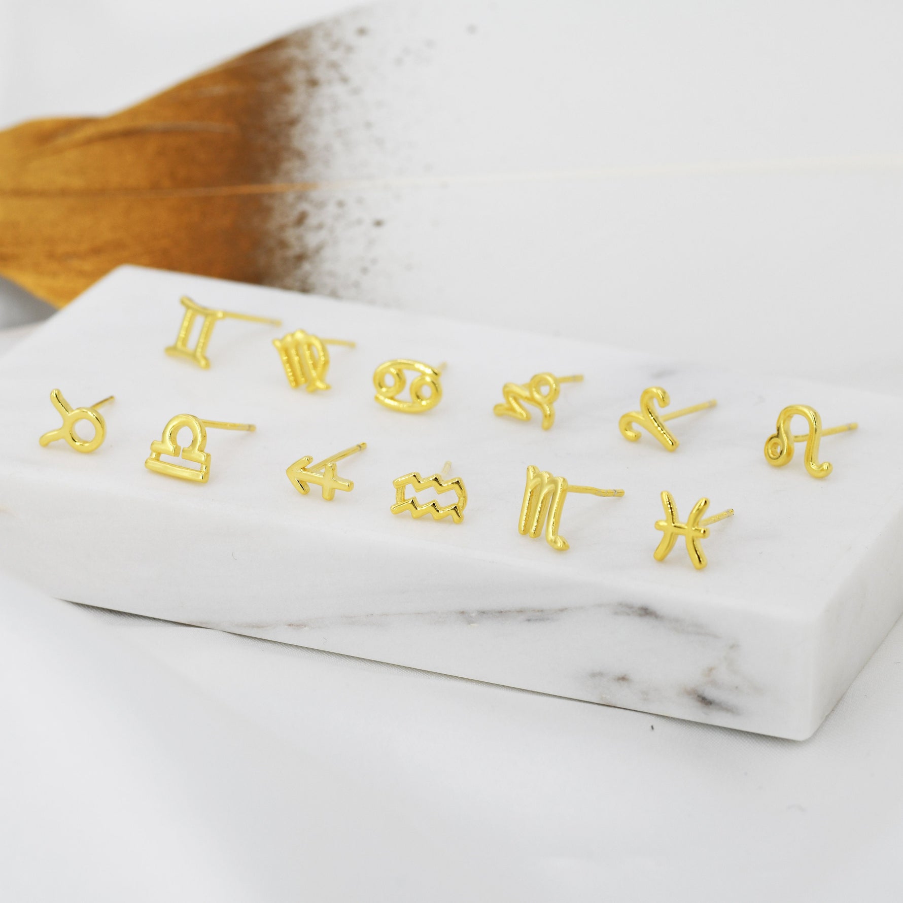 Pair of Zodiac Stud Earring in Sterling Silver, Silver or Gold, Horoscope Earrings