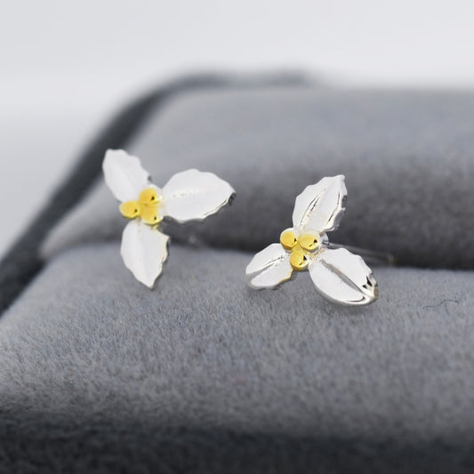 Holly Stud Earrings in Sterling Silver, Botanical Jewellery, Flower Earrings, December Birth Flower, Christmas Earrings