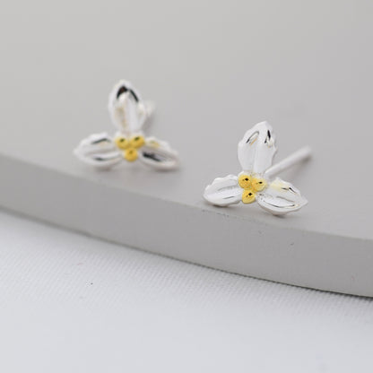 Holly Stud Earrings in Sterling Silver, Botanical Jewellery, Flower Earrings, December Birth Flower, Christmas Earrings