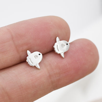 Ocean Sunfish Fish Stud Earrings in Sterling Silver, Cute Sun Fish Earrings, Mola Mola Earrings, Nature Inspired Animal Earrings