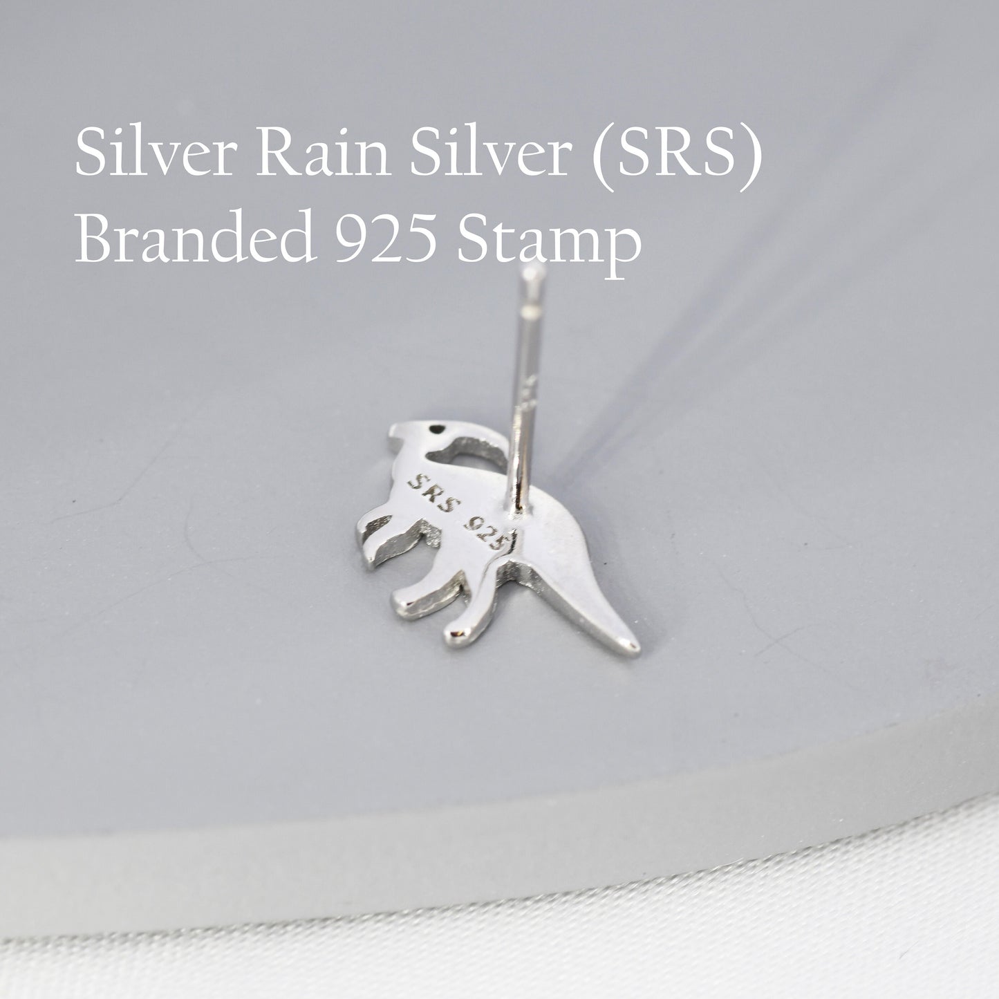 Mismatched Parasaurolophus and Triceratops Dinosaur Stud Earrings in Sterling Silver, Asymmetric Dinosaur Earrings