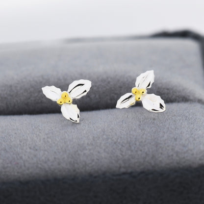 Holly Stud Earrings in Sterling Silver, Botanical Jewellery, Flower Earrings, December Birth Flower, Christmas Earrings