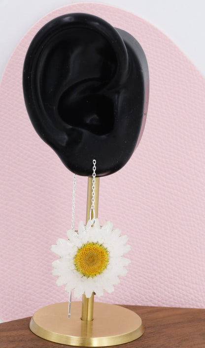 Real Daisy Flower Threader Earrings in Sterling Silver, Real Flower Ear Threaders, Resin Flower Jewellery