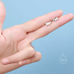 Capybara Stud Earrings in Sterling Silver - Cute Animal Earrings - Pantanal Animal - Fun, Whimsical