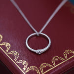 Ouroboros Snake Ring Holder Necklace