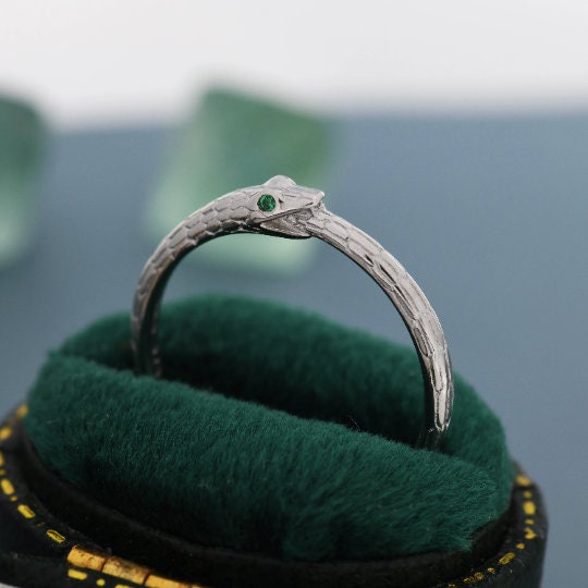 Ouroboros Snake Ring Holder Necklace