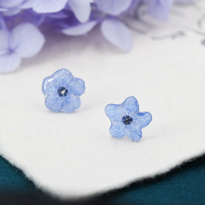 Resin Forget-Me-Not Flower Stud Earrings in Sterling Silver, Real Flower Earrings, Resin Flower Jewellery - Blue