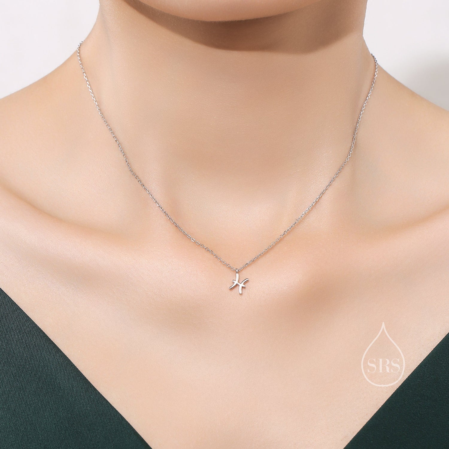 Zodiac Sign Pendant Necklace
