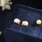 Wombat Stud Earrings in Sterling Silver, Silver or Gold or Rose Gold, Australian Wombat Earrings