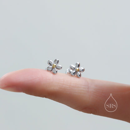 Tiny Little Forget-me-not Flower Screw Back Earrings in Sterling Silver, Cute Flower Barbell Earrings, Tiny Flower Screw Back Earrings