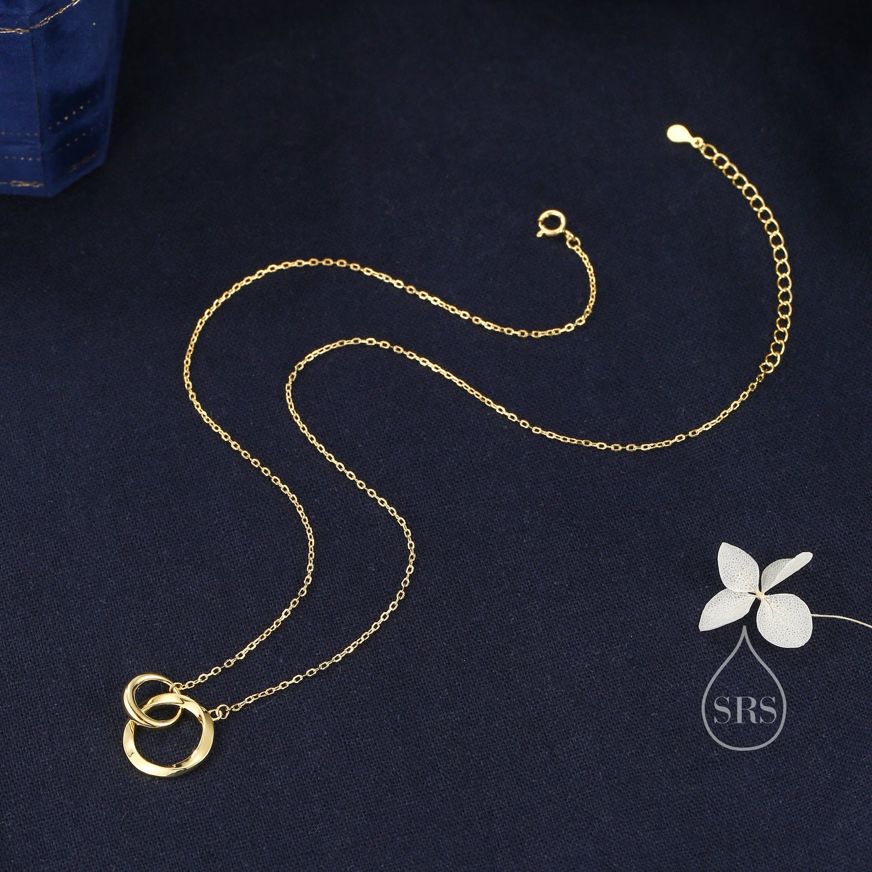 Double Mobius Circle Necklace in Sterling Silver, Silver or Gold or Rose Gold, Interlinking Mobius Strip Necklace, Interlocking Ring