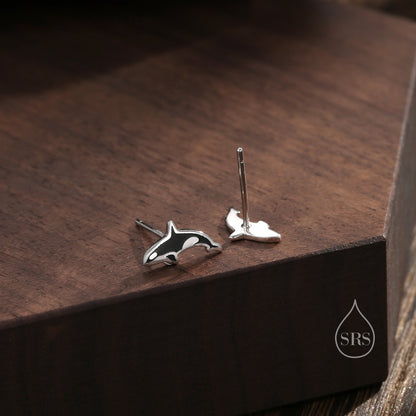 Killer Whale Stud Earrings in Sterling Silver, Fish Earrings, Ocean Theme Stud, Cute Dainty Minimal Jewellery