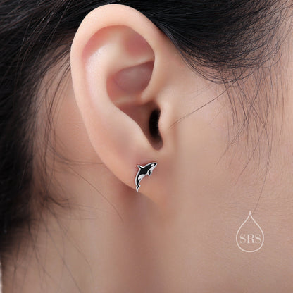 Killer Whale Stud Earrings in Sterling Silver, Fish Earrings, Ocean Theme Stud, Cute Dainty Minimal Jewellery