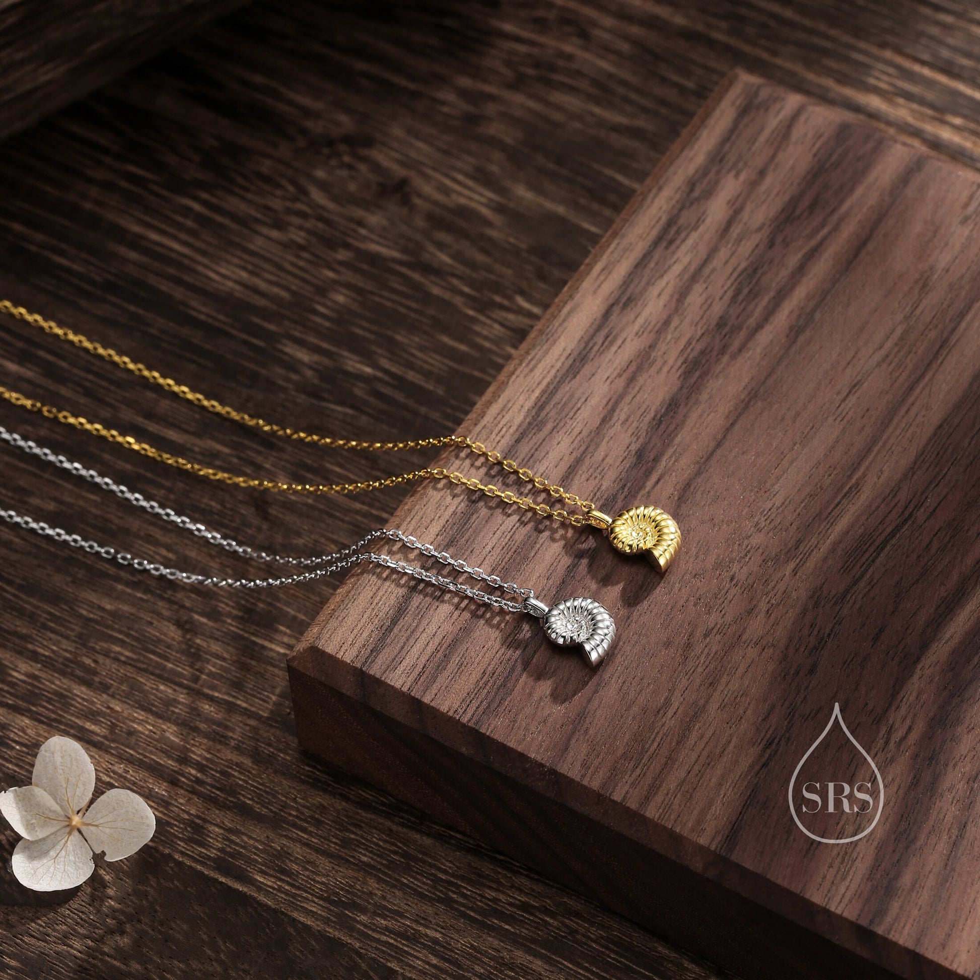 Ammonite Shell Pendant Necklace in Sterling Silver, Silver or Gold, Ocean Necklace, Sea Shell Necklace, Sea Shell Necklace