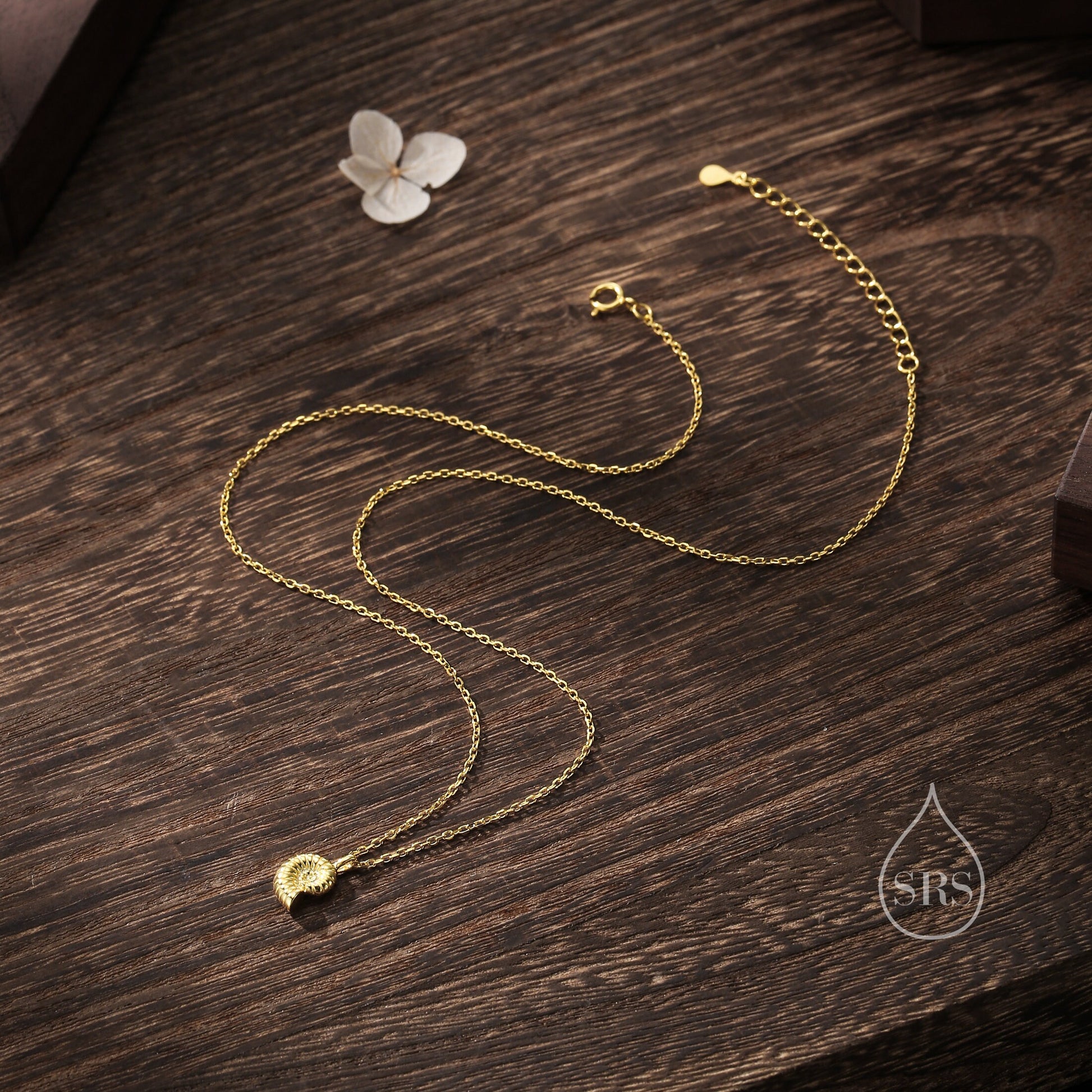 Ammonite Shell Pendant Necklace in Sterling Silver, Silver or Gold, Ocean Necklace, Sea Shell Necklace, Sea Shell Necklace