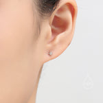 Tiny Starburst Screw Back Earrings in Sterling Silver, Silver or Gold or Rose Gold, Star Barbell Earrings, Sunburst Earrings