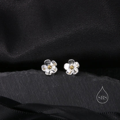 Sterling Silver Forget-me-not Flower Stud Earrings, Polished Finish, Nature Inspired Blossom Earrings, Cute and Quirky