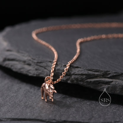 Triceratops Dinosaur Pendant Necklace in Sterling Silver, Shark Necklace, Silver or Gold or Rose Gold, Small Triceratops Dinosaur Pendant
