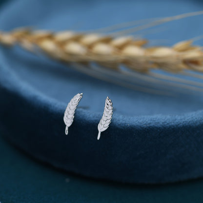 Wheat Stud Earrings in Sterling Silver, Silver or Gold,  Nature Inspired, Botanical Earrings