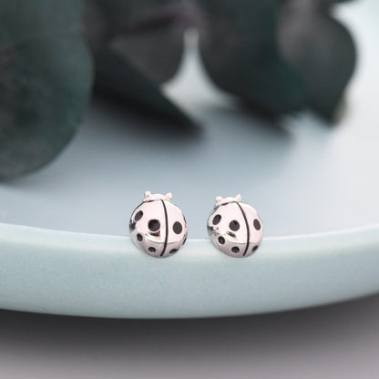 Sterling Silver Ladybird Stud Earrings, Animal Earrings, Cute and Quirky