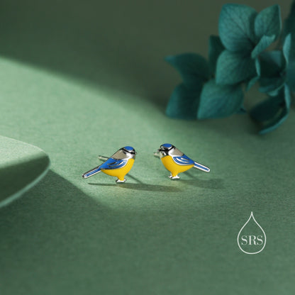 Blue Tit Bird Stud Earrings in Sterling Silver, Silver Blue Tit Earrings, Hand Painted Enamel Blue Tit Earrings, Animal Earrings, Bird Stud