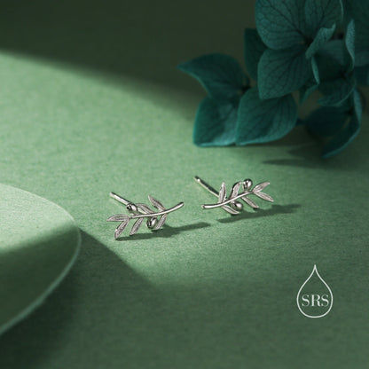 Olive Leaf Stud Earrings in Sterling Silver, Silver,  Olive Branch Earrings, Nature Inspired Leaf Earrings