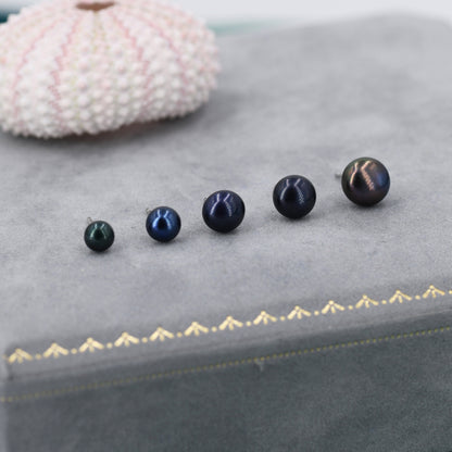 Natural Black Pearl Stud Earrings in Sterling Silver, Various Sizes,  Button Shape Black Freshwater Pearl Earrings, Natural Pearl Earrings