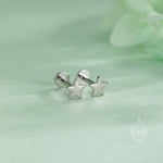 Tiny Star Internally Threaded Flat Back/Screw back(Barbell)/ Stud Earrings in Sterling Silver, Star Earrings, Piercing Jewellery
