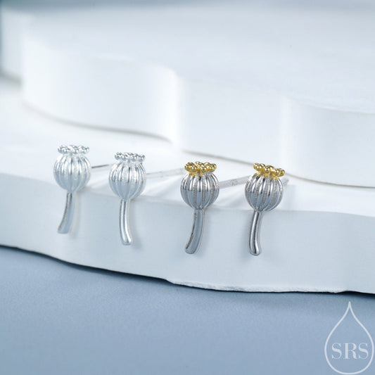 Extra Tiny Seed Pod Stud Earrings in Sterling Silver, Available in Two Finished, Botanical Earrings