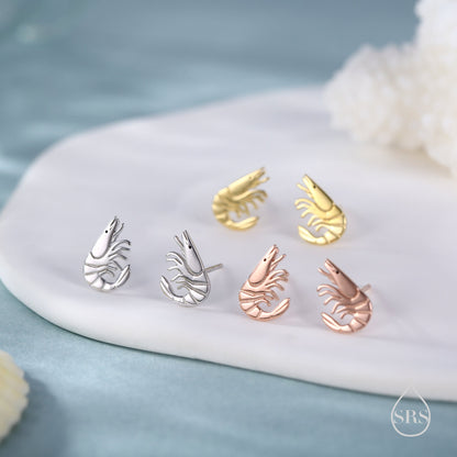 Prawn Stud Earrings in Sterling Silver, Silver or Gold or Rose Gold, Shrimp Stud Earrings, Fish Earrings, Ocean Animal Earrings