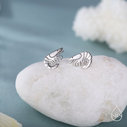 Prawn Stud Earrings in Sterling Silver, Silver or Gold or Rose Gold, Shrimp Stud Earrings, Fish Earrings, Ocean Animal Earrings