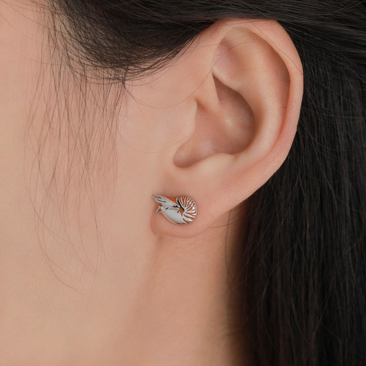 Nautilus Shell Stud Earrings in Sterling Silver, Silver or Gold, Ocean Earrings, Shell Earrings, Sea Shell Earrings