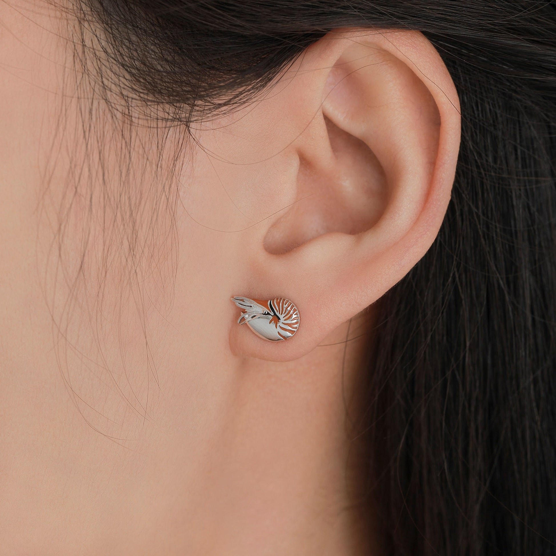 Nautilus Shell Stud Earrings in Sterling Silver, Silver or Gold, Ocean Earrings, Shell Earrings, Sea Shell Earrings