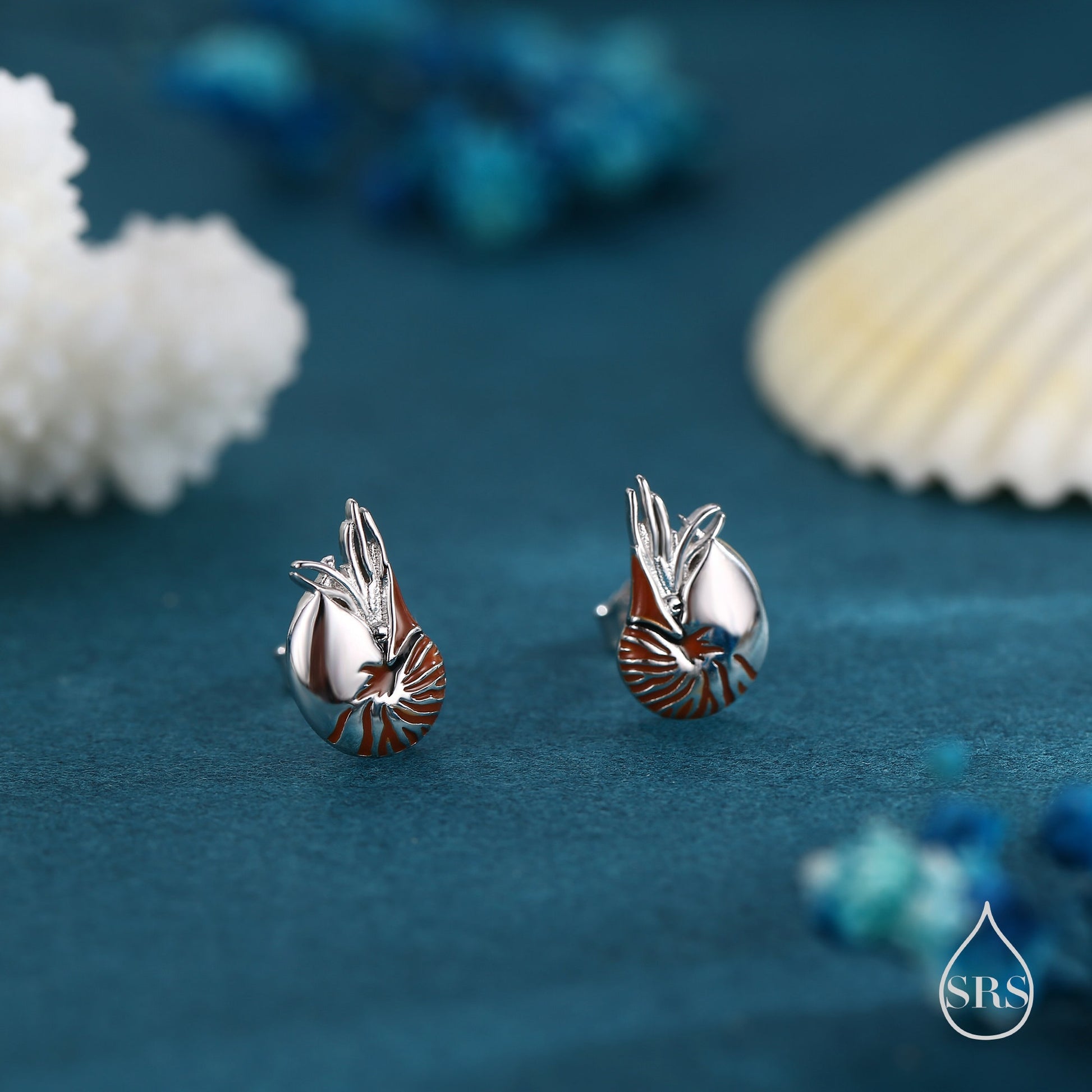 Nautilus Shell Stud Earrings in Sterling Silver, Silver or Gold, Ocean Earrings, Shell Earrings, Sea Shell Earrings