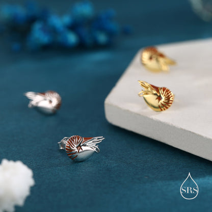 Nautilus Shell Stud Earrings in Sterling Silver, Silver or Gold, Ocean Earrings, Shell Earrings, Sea Shell Earrings
