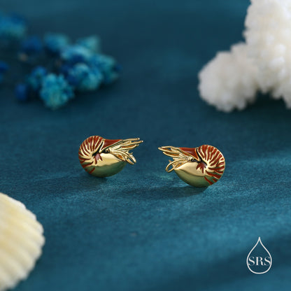 Nautilus Shell Stud Earrings in Sterling Silver, Silver or Gold, Ocean Earrings, Shell Earrings, Sea Shell Earrings