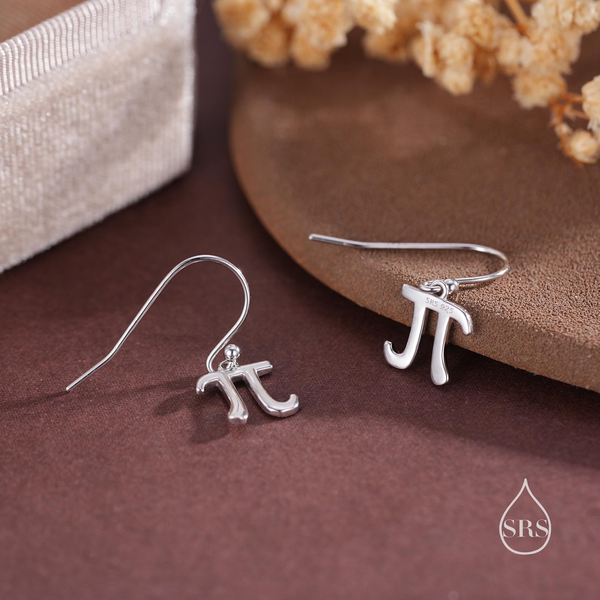 Sterling Silver Pi Drop Hook Earrings - Mathematical Earrings, Silver, Gold or Rose Gold, Math, Geeky, Fun, Whimsical, Pi Dangle Earrings