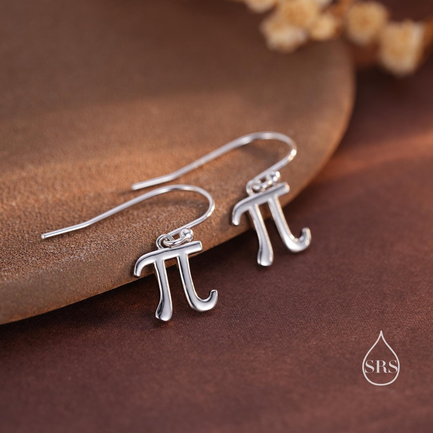 Sterling Silver Pi Drop Hook Earrings - Mathematical Earrings, Silver, Gold or Rose Gold, Math, Geeky, Fun, Whimsical, Pi Dangle Earrings