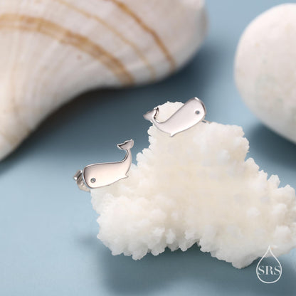 Little Whale Fish Stud Earrings in Sterling Silver, Cute Fun Quirky Animal Jewellery, Gift for Her, Animal Lover, Nature Inspired