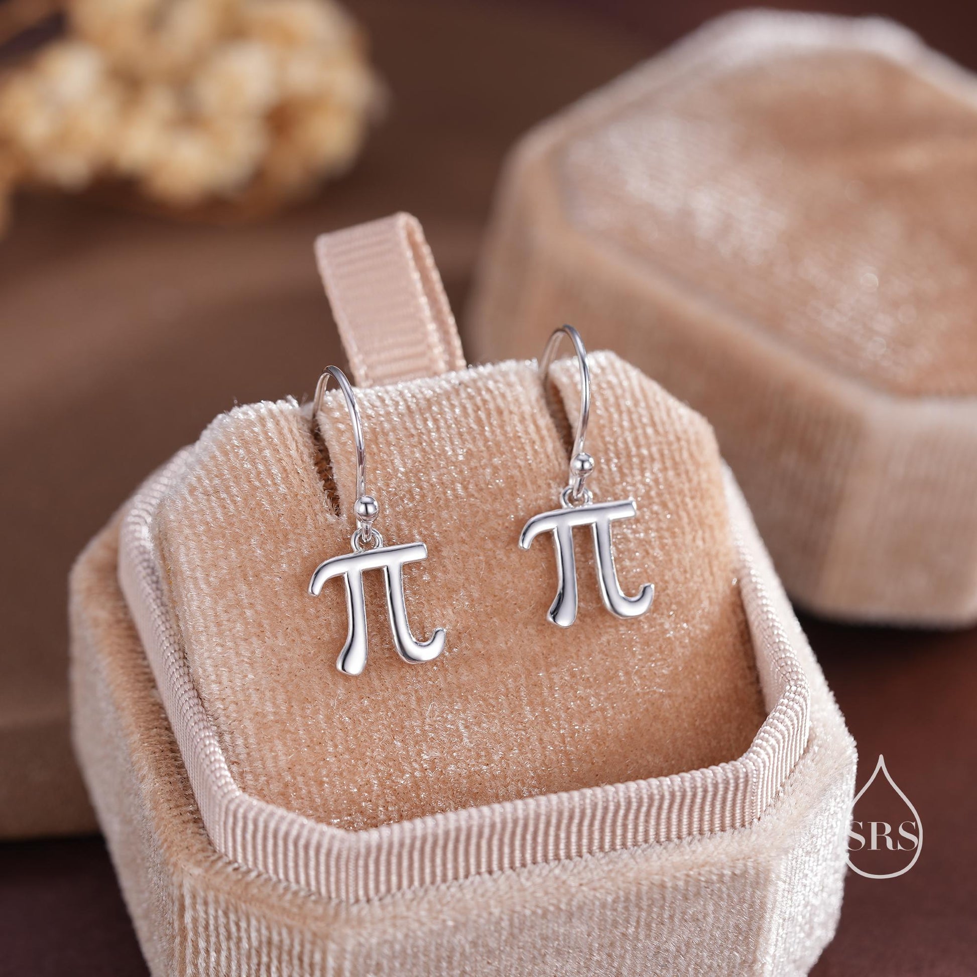 Sterling Silver Pi Drop Hook Earrings - Mathematical Earrings, Silver, Gold or Rose Gold, Math, Geeky, Fun, Whimsical, Pi Dangle Earrings