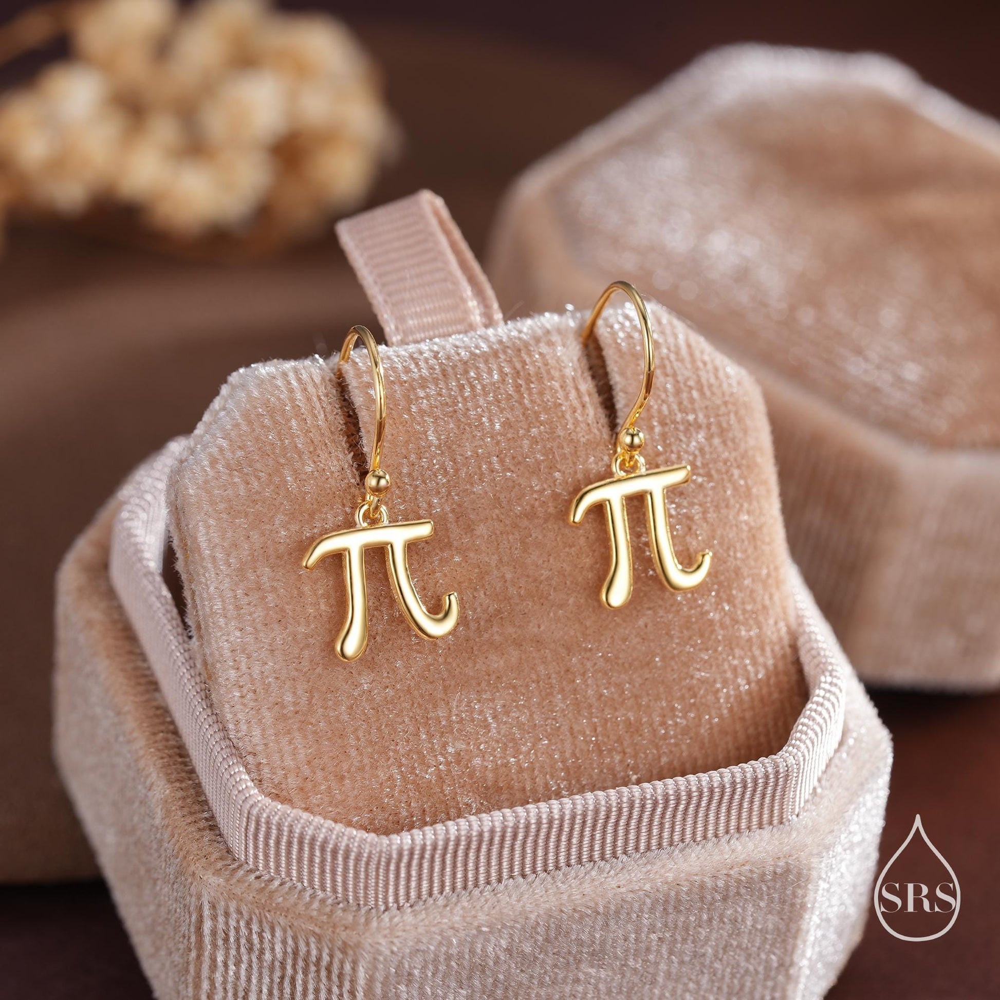 Sterling Silver Pi Drop Hook Earrings - Mathematical Earrings, Silver, Gold or Rose Gold, Math, Geeky, Fun, Whimsical, Pi Dangle Earrings