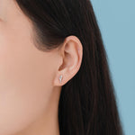 Seashell Earrings in Sterling Silver - Petite Auger Shell Stud - Silver or Gold or Rose Gold, Pointy Shell - Sea, Ocean, Cute,